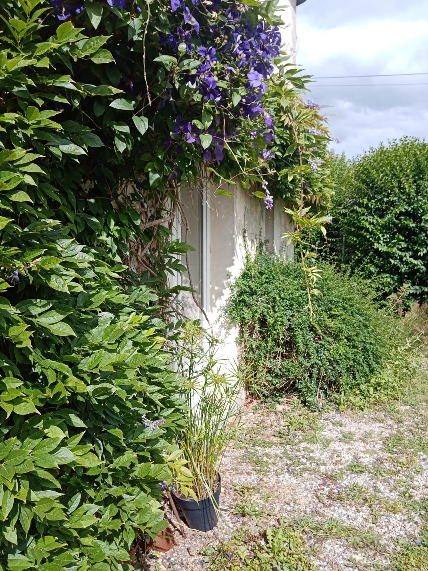 Rose Garden Bayeux Bed & Breakfast Luaran gambar